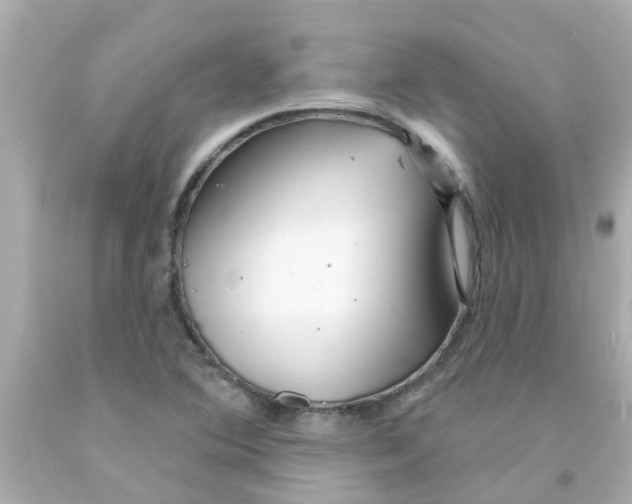 X0000093141364200710241334