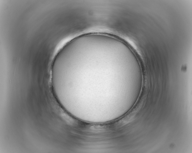 X0000093141366200710241334