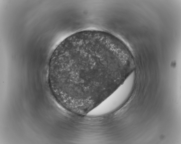 X0000093141367200710241334