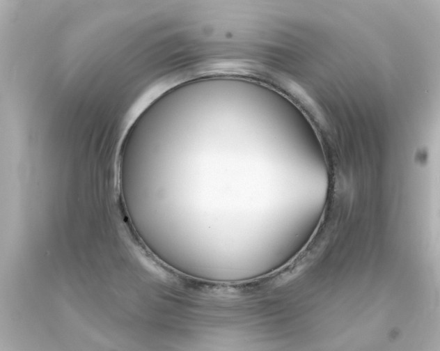 X0000093141370200710241334