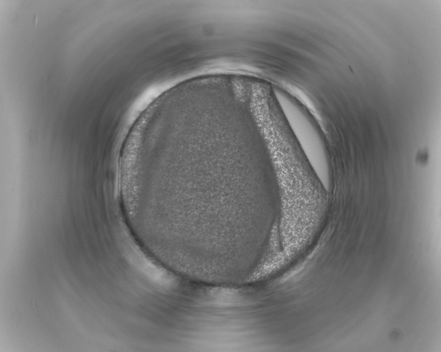 X0000093141371200710241334