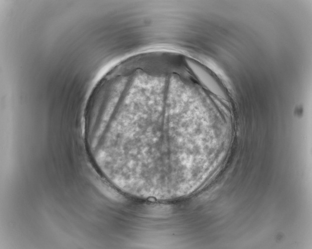 X0000093141372200710241334