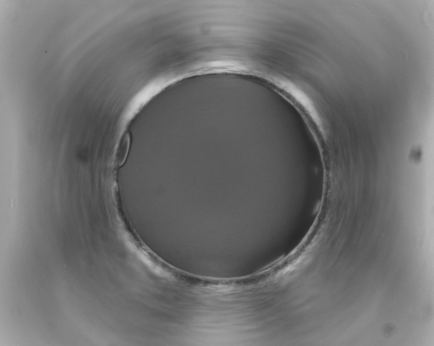 X0000093141373200710241334