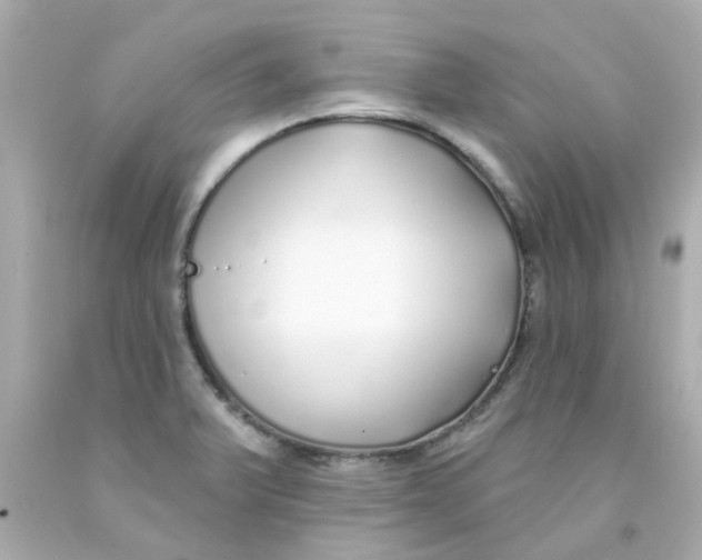 X0000093141375200710241334