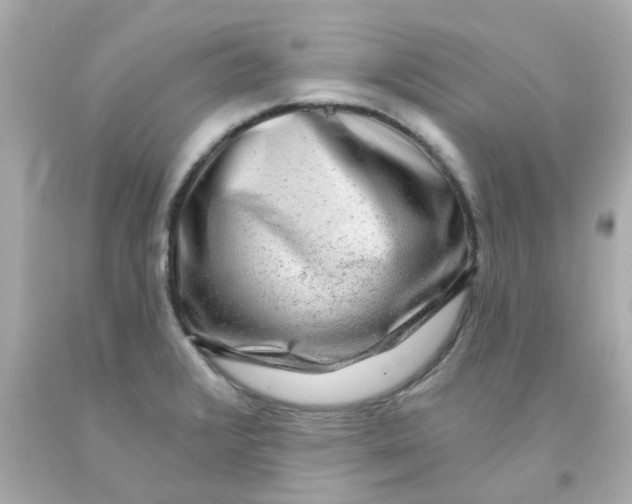 X0000093141376200710241334