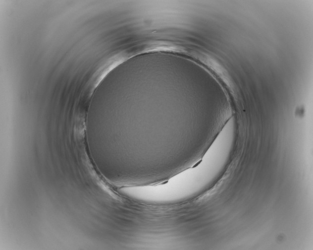 X0000093141377200710241334