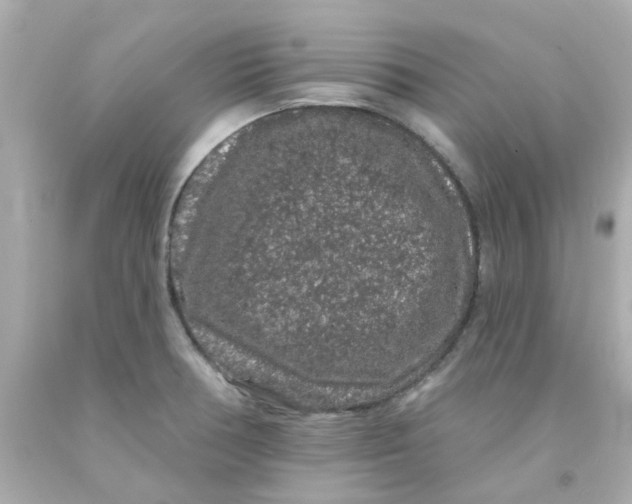 X0000093141378200710241334