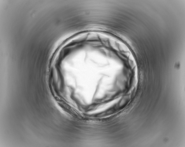 X0000093141379200710241334