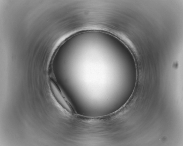 X0000093141380200710241334