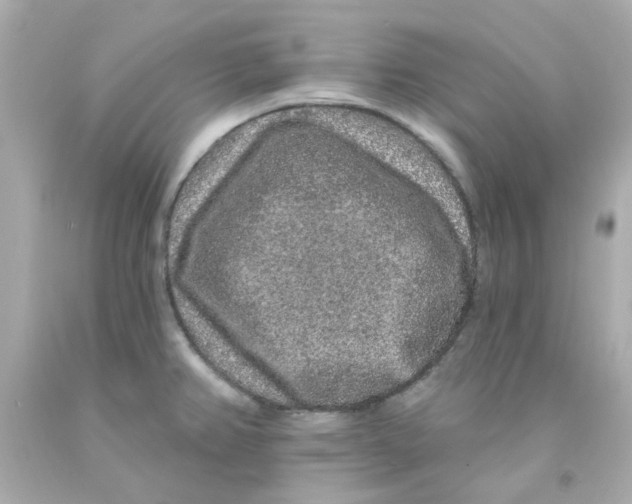 X0000093141382200710241334