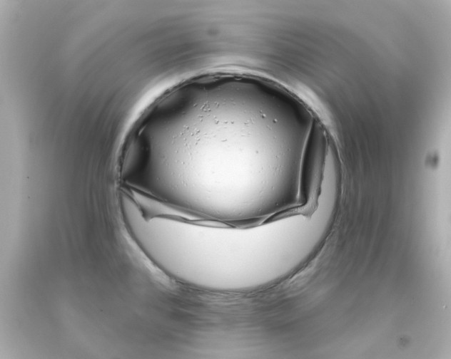 X0000093141384200710241334