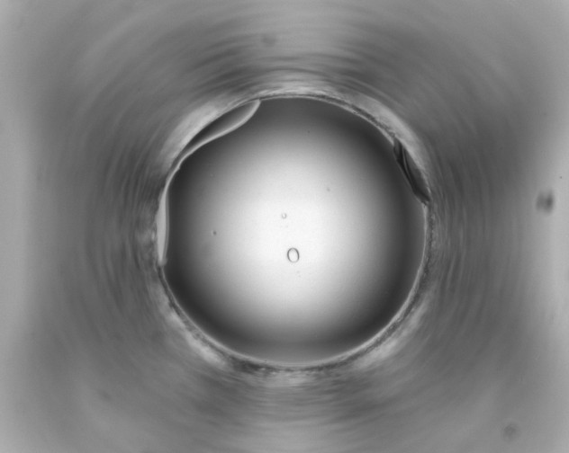 X0000093141385200710241334