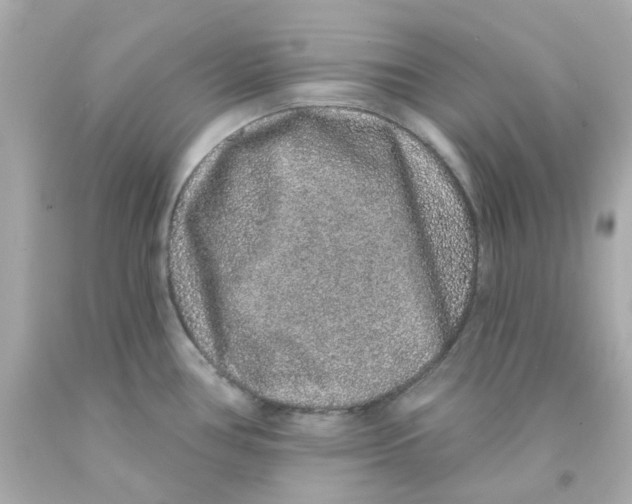 X0000093141386200710241334