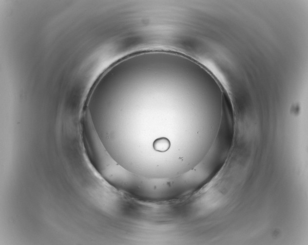 X0000093141388200710241334