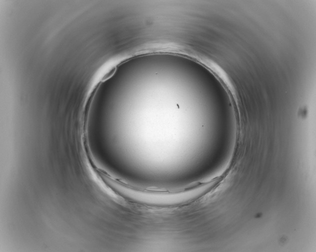 X0000093141389200710241334