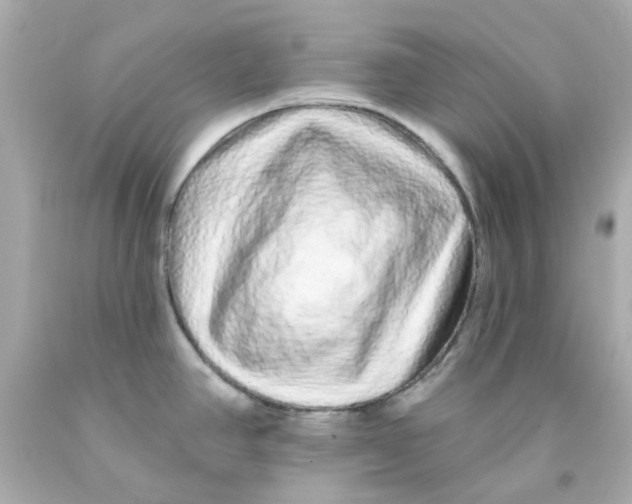 X0000093141390200710241334