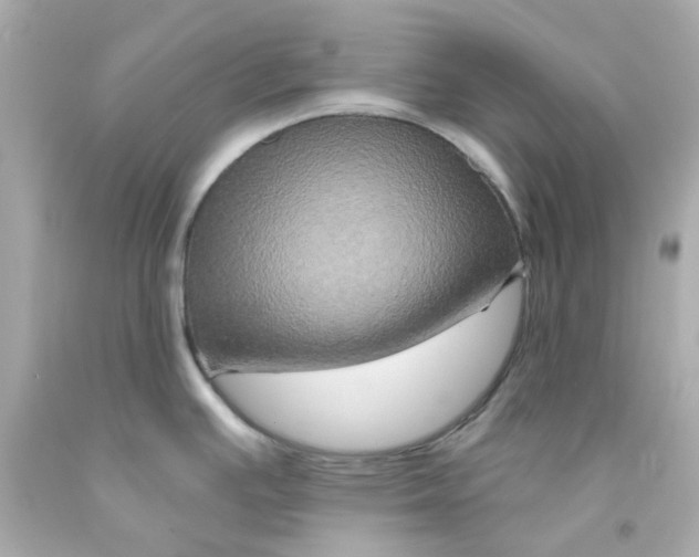 X0000093141391200710241334