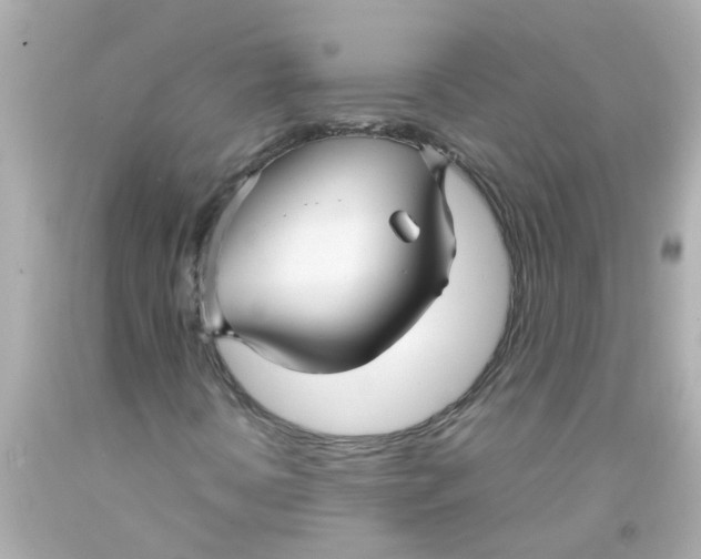 X0000093141394200710241333