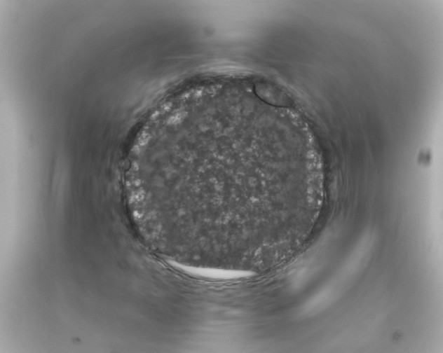 X0000093141397200710241333