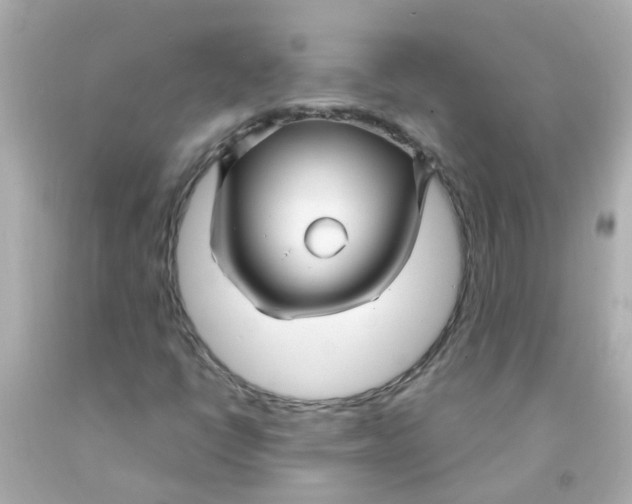 X0000093141398200710241333