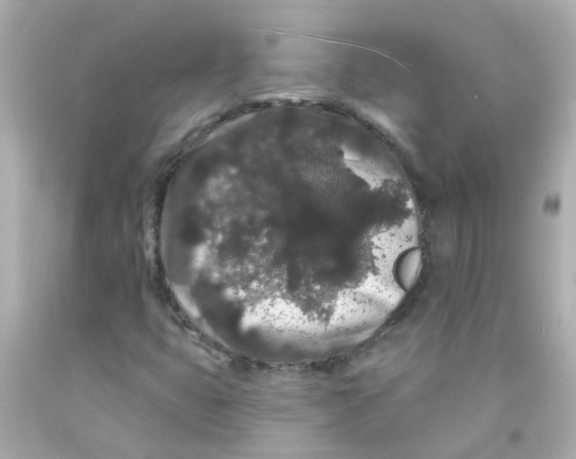 X0000093141399200710241333