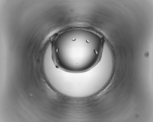 X0000093141402200710241333