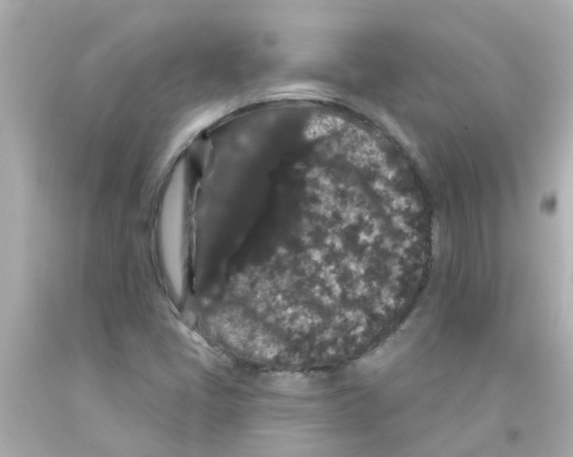 X0000093141405200710241333