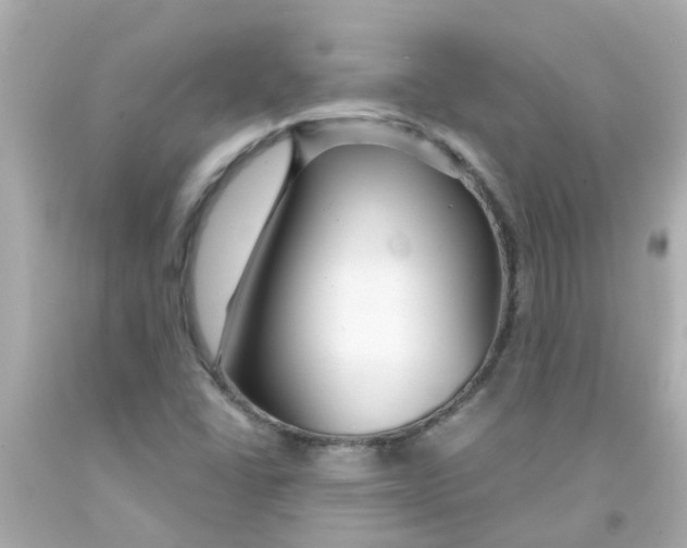 X0000093141406200710241333