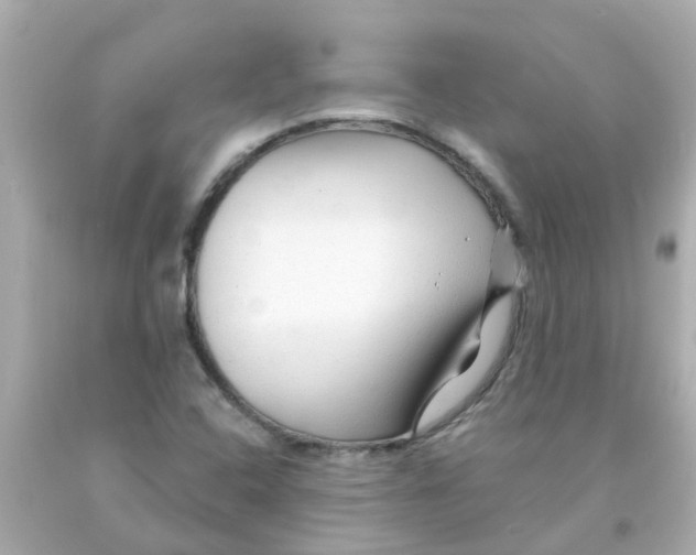 X0000093141408200710241333