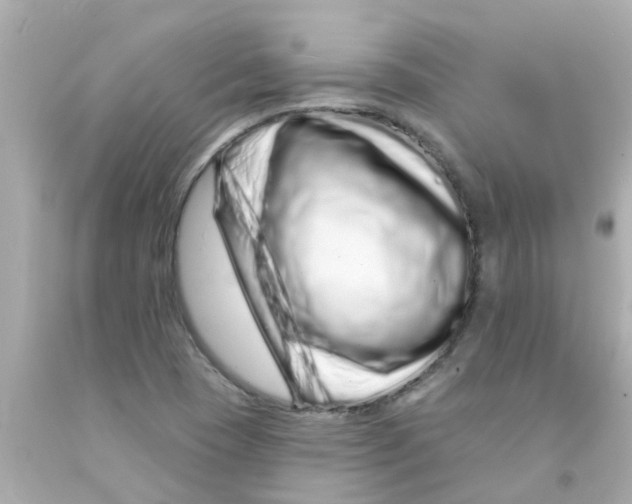 X0000093141409200710241333