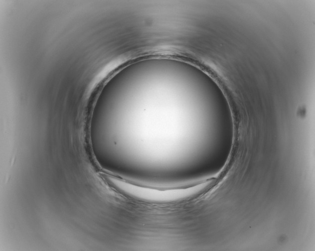 X0000093141410200710241333