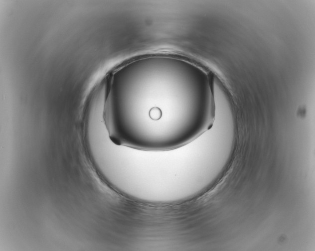 X0000093141414200710241333