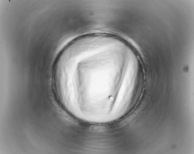 X0000093141415200710241333