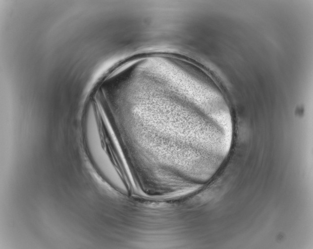 X0000093141416200710241333