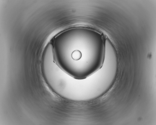 X0000093141418200710241333