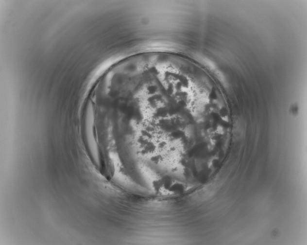 X0000093141419200710241333