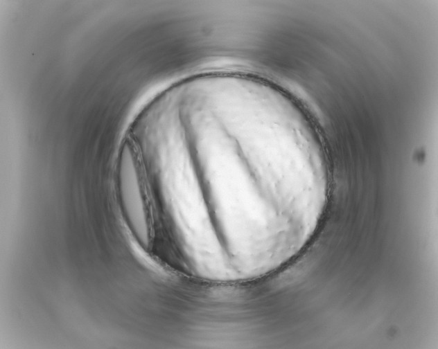 X0000093141421200710241333