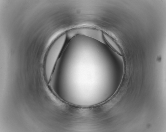 X0000093141422200710241333