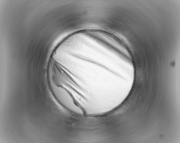 X0000093141424200710241333