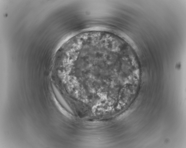 X0000093141425200710241333