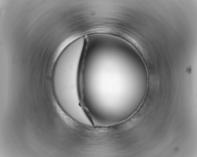 X0000093141426200710241333