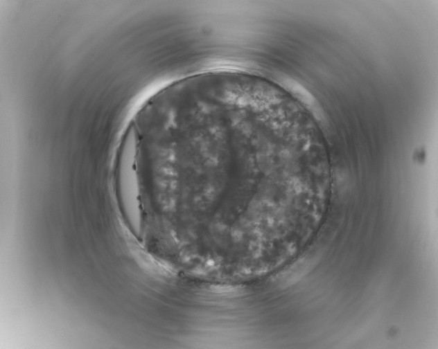 X0000093141427200710241333