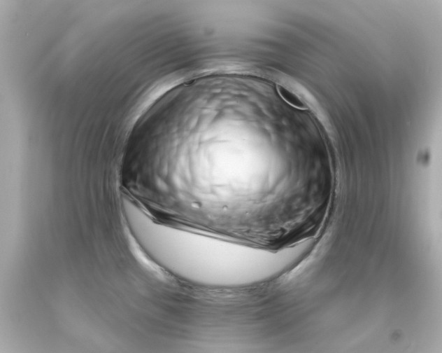 X0000093141433200710241333