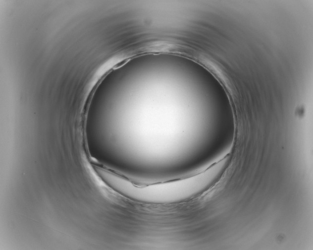 X0000093141434200710241333