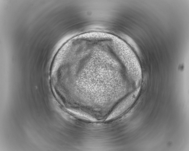 X0000093141435200710241333