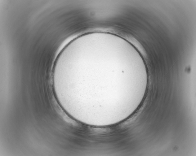 X0000093141436200710241333