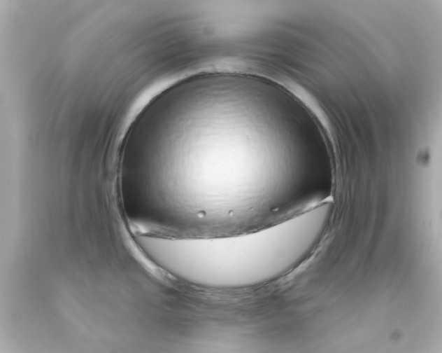 X0000093141437200710241334