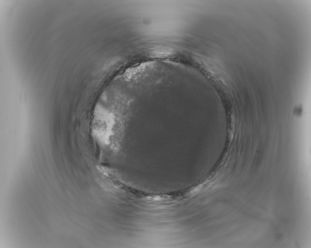 X0000093141441200710241333