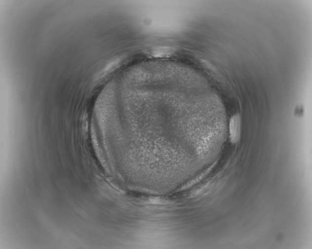 X0000093141443200710241333