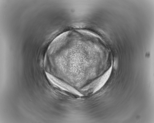 X0000093141444200710241333